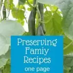 preserve family recipes