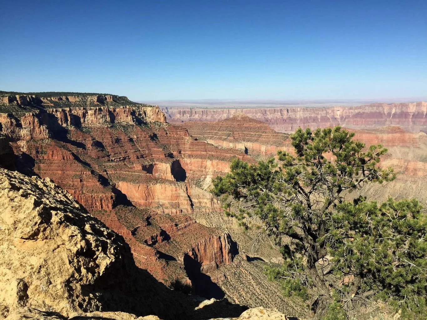 Have too much stuff? Do more. Visit the Grand Canyon