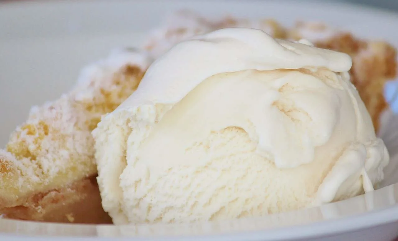 Favorite Homemade Vanilla Ice Cream