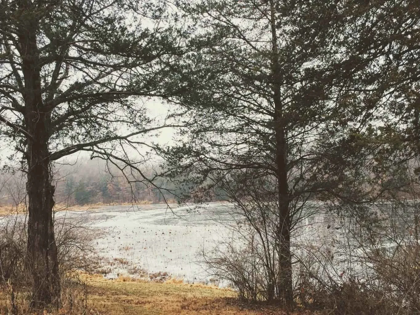 Busch Conservation area lake Busch Conservation area lake