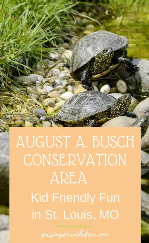 Busch Conservation area