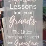 lessons from Grandkids