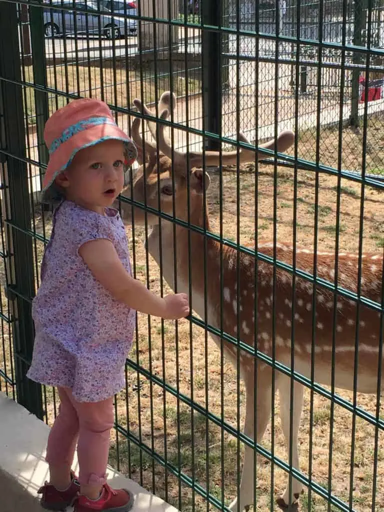 Girl with deer