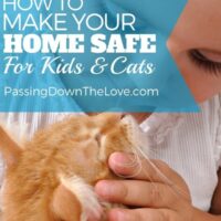 How to make your home safe for kids and cats