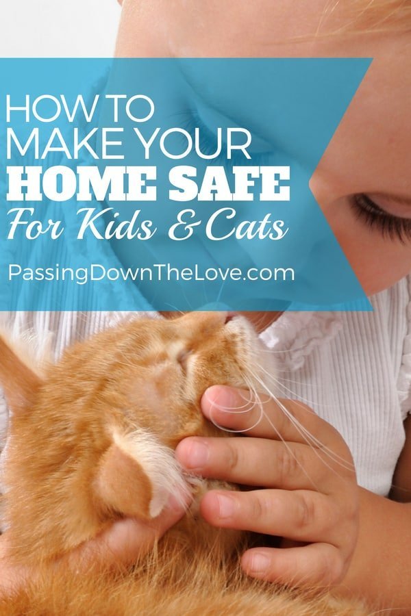 How to make your home safe for kids and cats