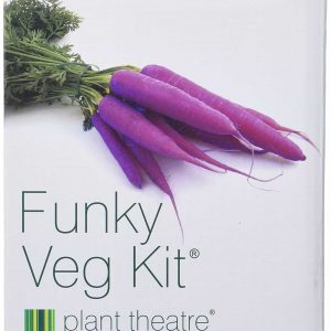 funky vegetable gift box
