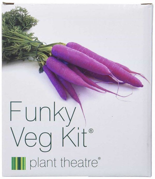 funky vegetable gift box
