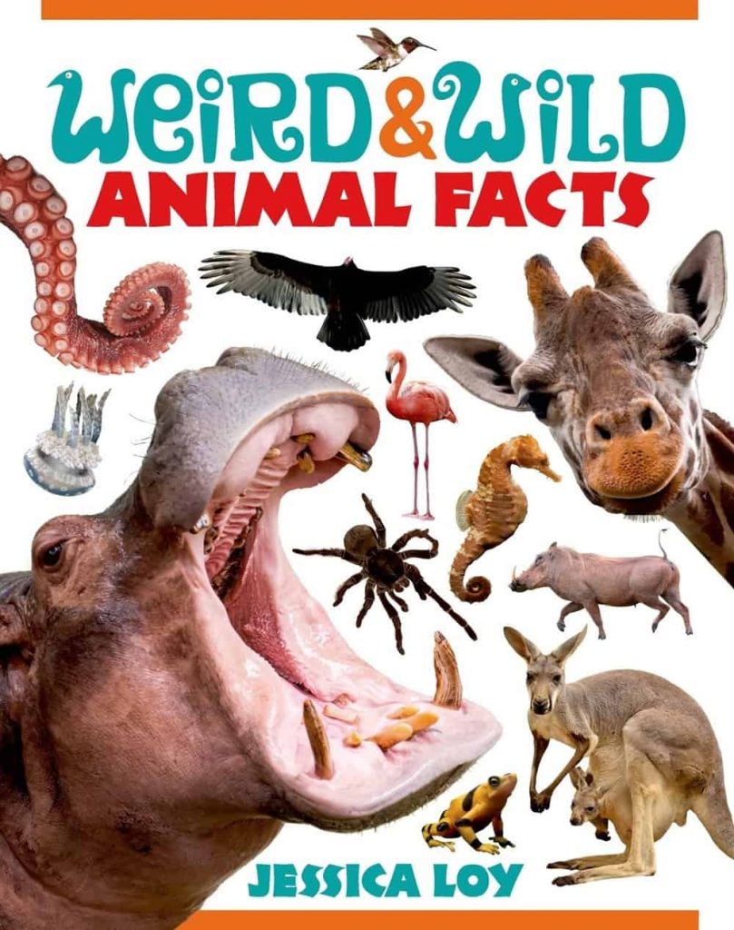 Facts about animals. Animals facts. Wild animals book. Interesting facts about animals.