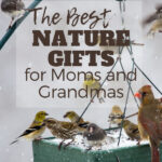 Nature gifts