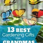 Best Gardening Gifts for Grandma