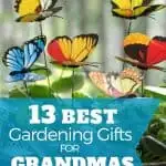 Best Gardening Gifts for Grandma