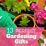 GARDENING GIFTS for her