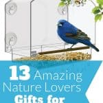 Nature Gifts for Grandma