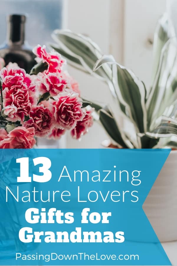 Unique Gifts For Nature Lovers - Stratford-upon-Avon Butterfly Farm Nature Inspired Gift ... : Geek gifts, sports gifts, biking gifts, music gifts