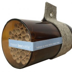 Mason Bee Bottle for the nature lover