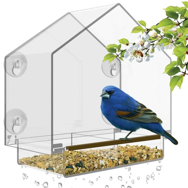 Window Bird Feeder