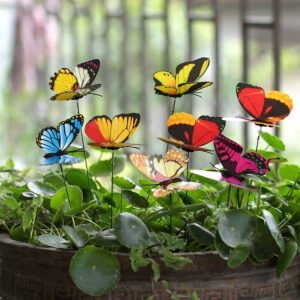 Garden Butterflies