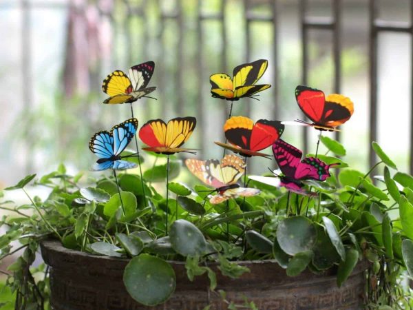 Garden Butterflies