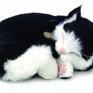 Electronic Breathable Cat Pet