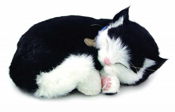 Electronic Breathable Cat Pet