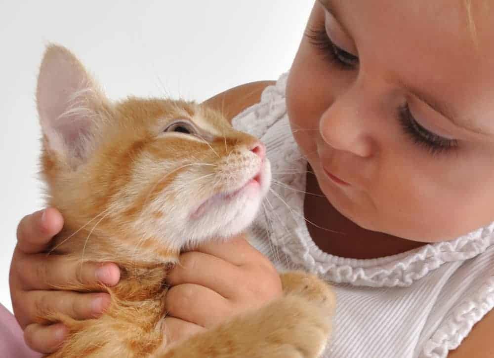 How to Make Your Home Safer for Kids (& Cats) Passing Down the Love