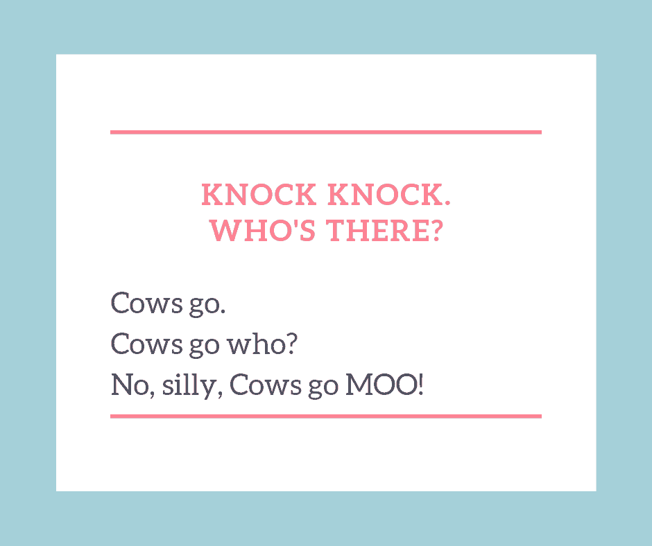 Knock Knock Cow Joke
