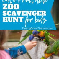 zoo scavenger hunt free printable