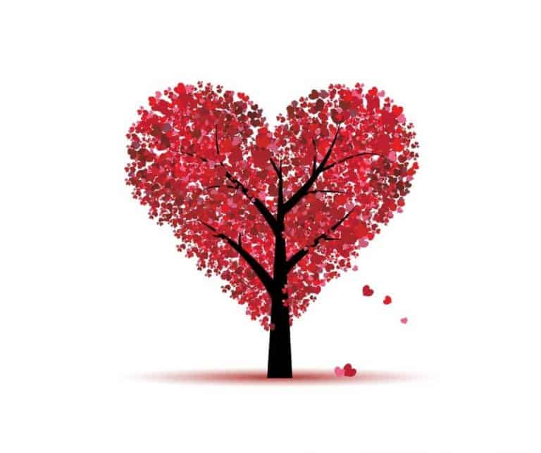Family history and family tree gifts