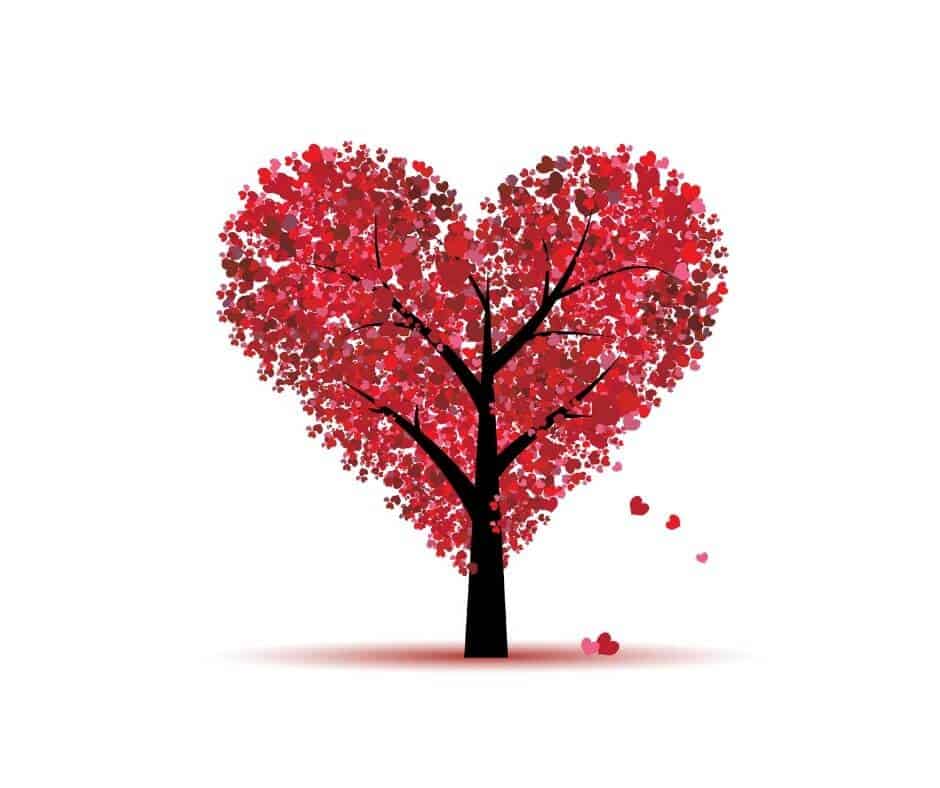 Family history and family tree gifts
