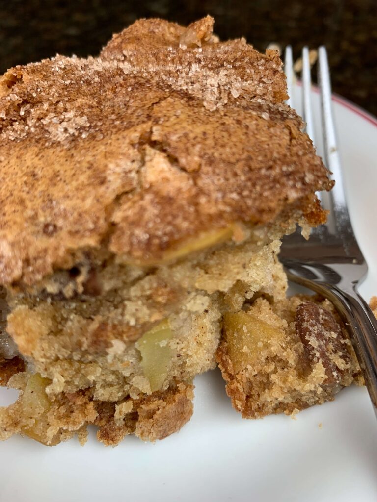 Apple cake on plate with forkj